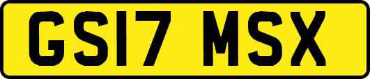 GS17MSX