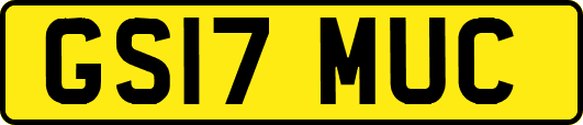 GS17MUC