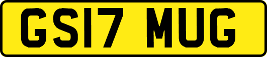 GS17MUG