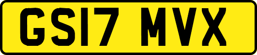 GS17MVX