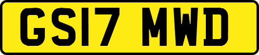 GS17MWD