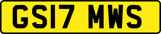 GS17MWS