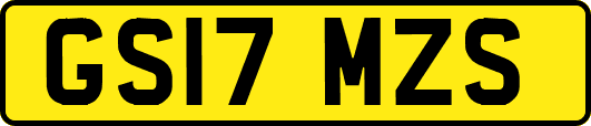 GS17MZS