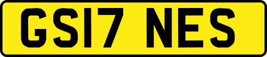 GS17NES