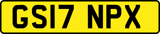 GS17NPX
