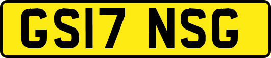 GS17NSG