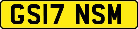 GS17NSM