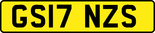 GS17NZS