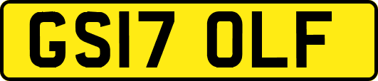 GS17OLF