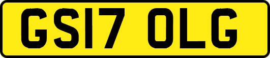 GS17OLG