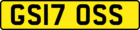 GS17OSS