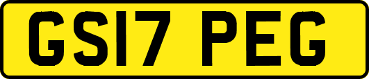 GS17PEG