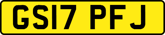 GS17PFJ