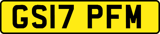 GS17PFM