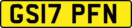 GS17PFN