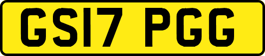 GS17PGG