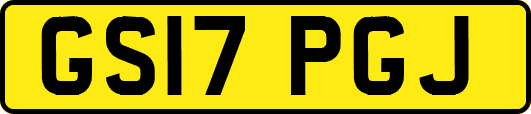 GS17PGJ