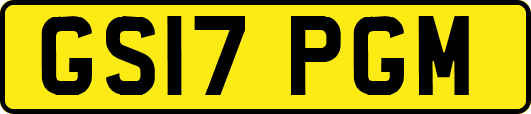 GS17PGM