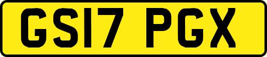 GS17PGX