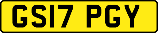 GS17PGY