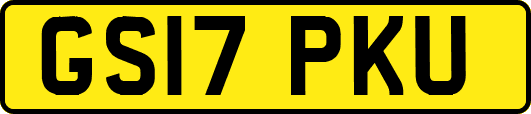 GS17PKU