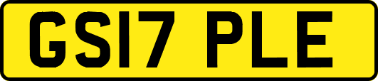 GS17PLE
