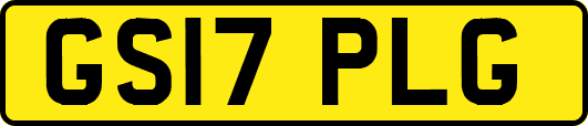 GS17PLG