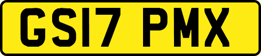GS17PMX