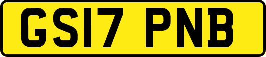 GS17PNB
