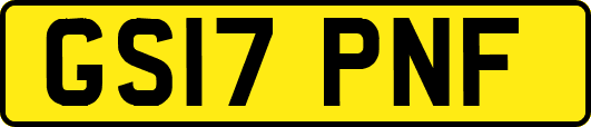 GS17PNF
