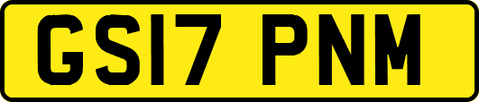 GS17PNM
