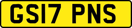 GS17PNS
