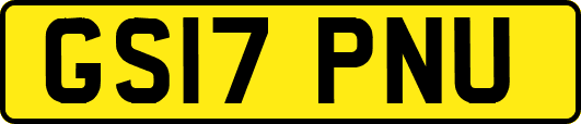 GS17PNU