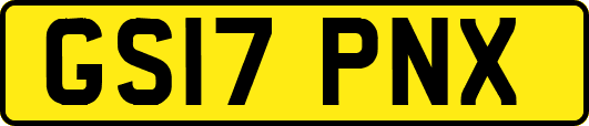 GS17PNX