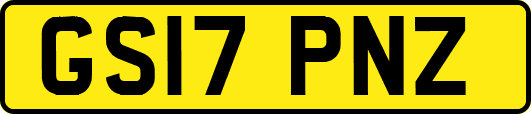GS17PNZ