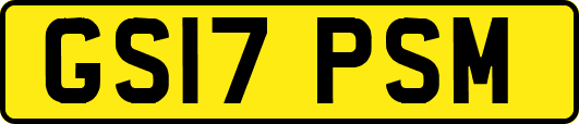 GS17PSM