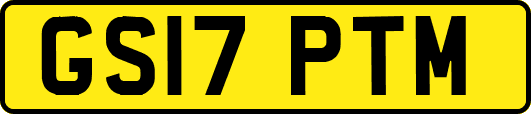 GS17PTM