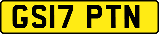 GS17PTN