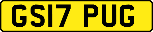 GS17PUG