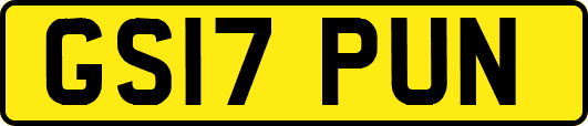GS17PUN