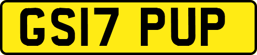 GS17PUP