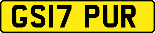 GS17PUR