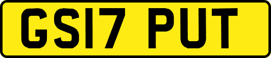 GS17PUT