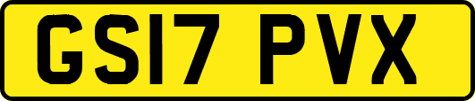GS17PVX