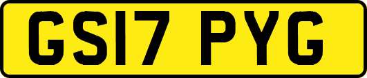 GS17PYG