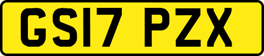 GS17PZX