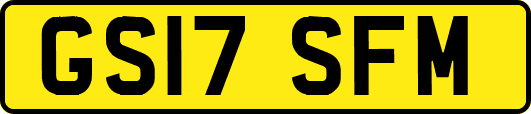 GS17SFM