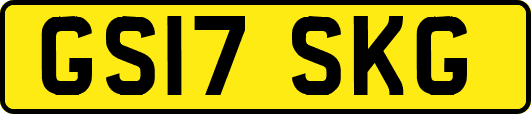 GS17SKG