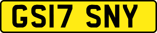 GS17SNY