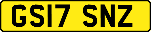 GS17SNZ